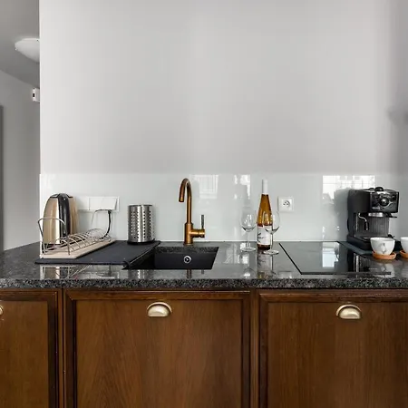 By Motlawa River & Old Town 公寓 格但斯克